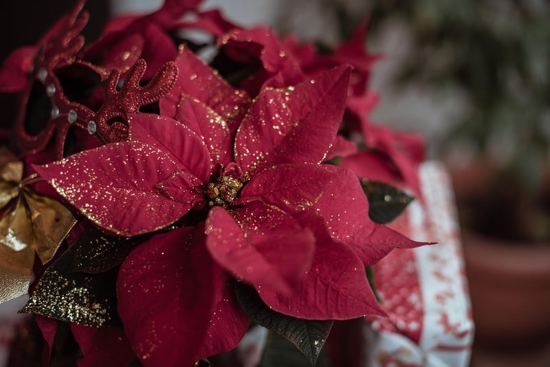 Seasonal Decor